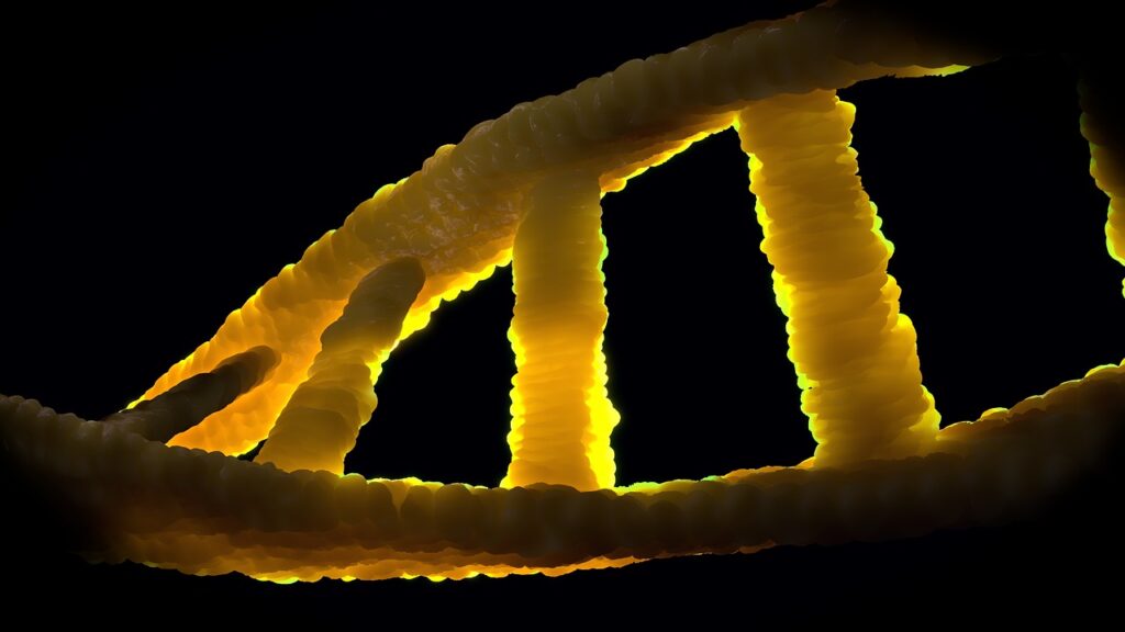 Research Peptides Supplier